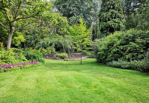 Optimiser l'expérience du jardin à Bernis